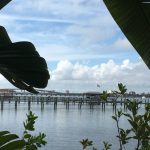 Acqua Development Condo. View of the River